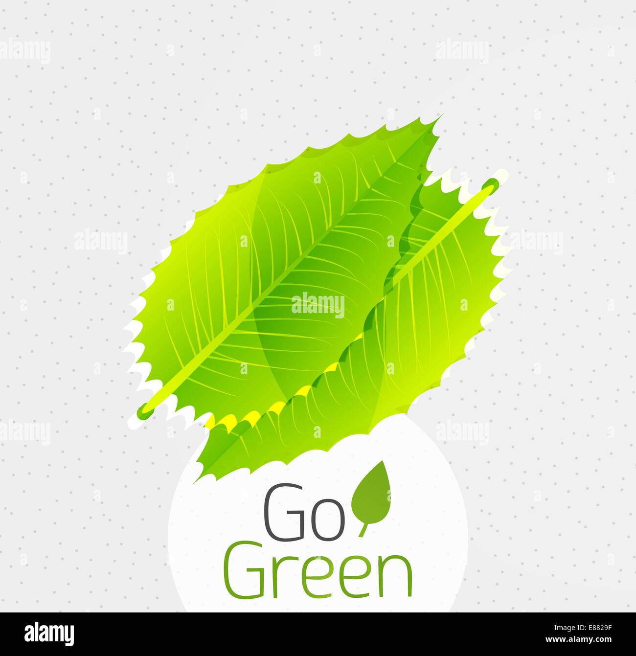 Green leaf icon concept. Vector illustration Stock Vector Image & Art ...