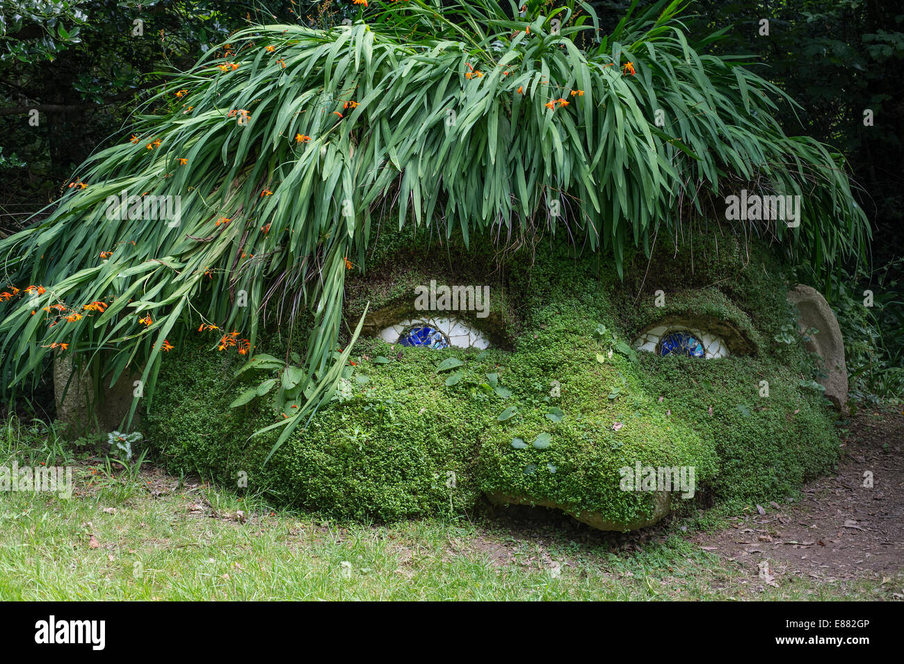 The Giant's Head, were designed to enhance the woodland experience. The Lost Gardens of Heligan UK Europe Stock Photo