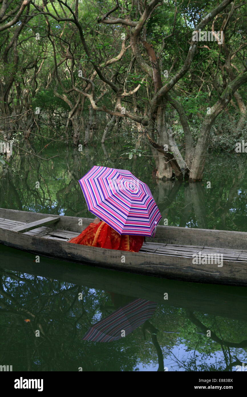 The tourist enjoying the scenery of Ratargul Natural Swamp Forest. Ratargul Natural Swamp Forest is a freshwater swamp forest located in Gowainghat Upozzila, Sylhet, Bangladesh. It is the only freshwater swamp forest located in Bangladesh naturally conserved under the Department of Forestry. The evergreen forest is situated by the river Goain and linked with the channel Chenger Khal. Most of the trees grow here are Pongamia pinnata (Koroch tree) and Hijol. The water level rise up 20-25 feet water during rainy season and about 3-5 feet deep for the rest of the year where some places fully drie Stock Photo