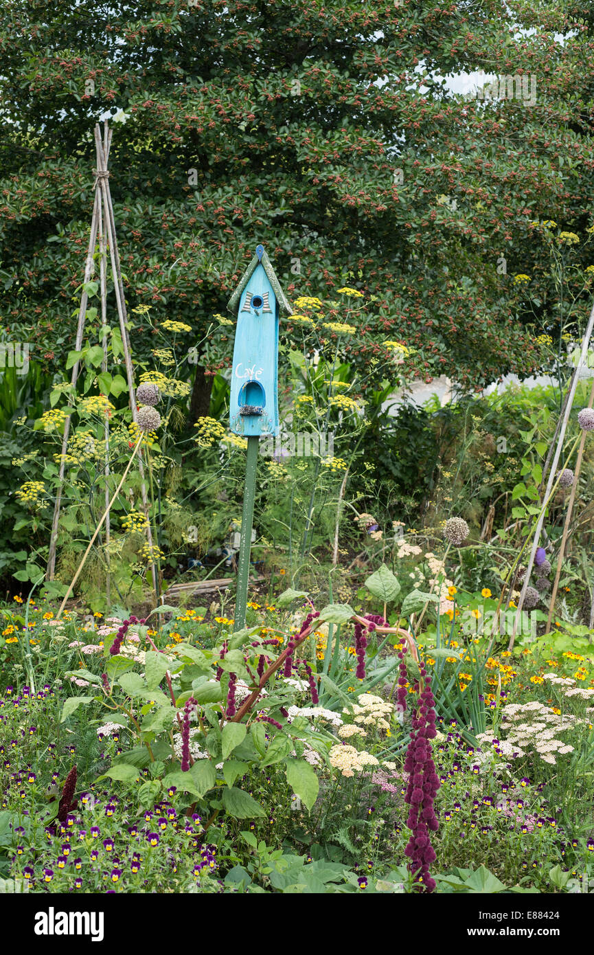 Mixed border with bird house Eden Project garden Cornwall England UK August Stock Photo