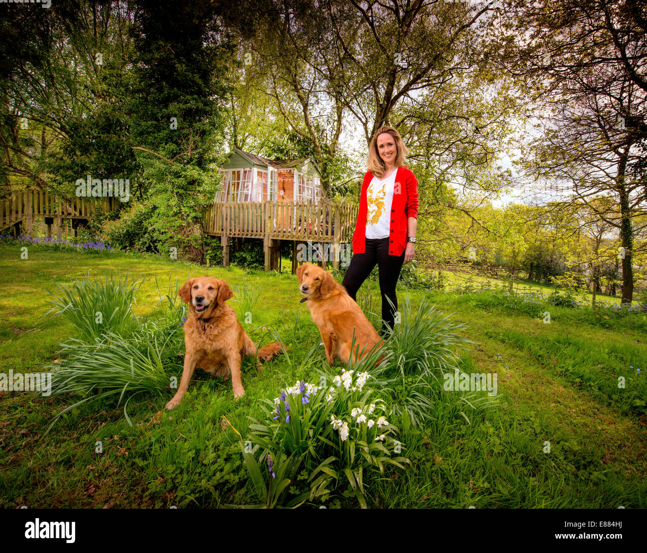 Family building treehouse High Resolution Stock Photography and Images