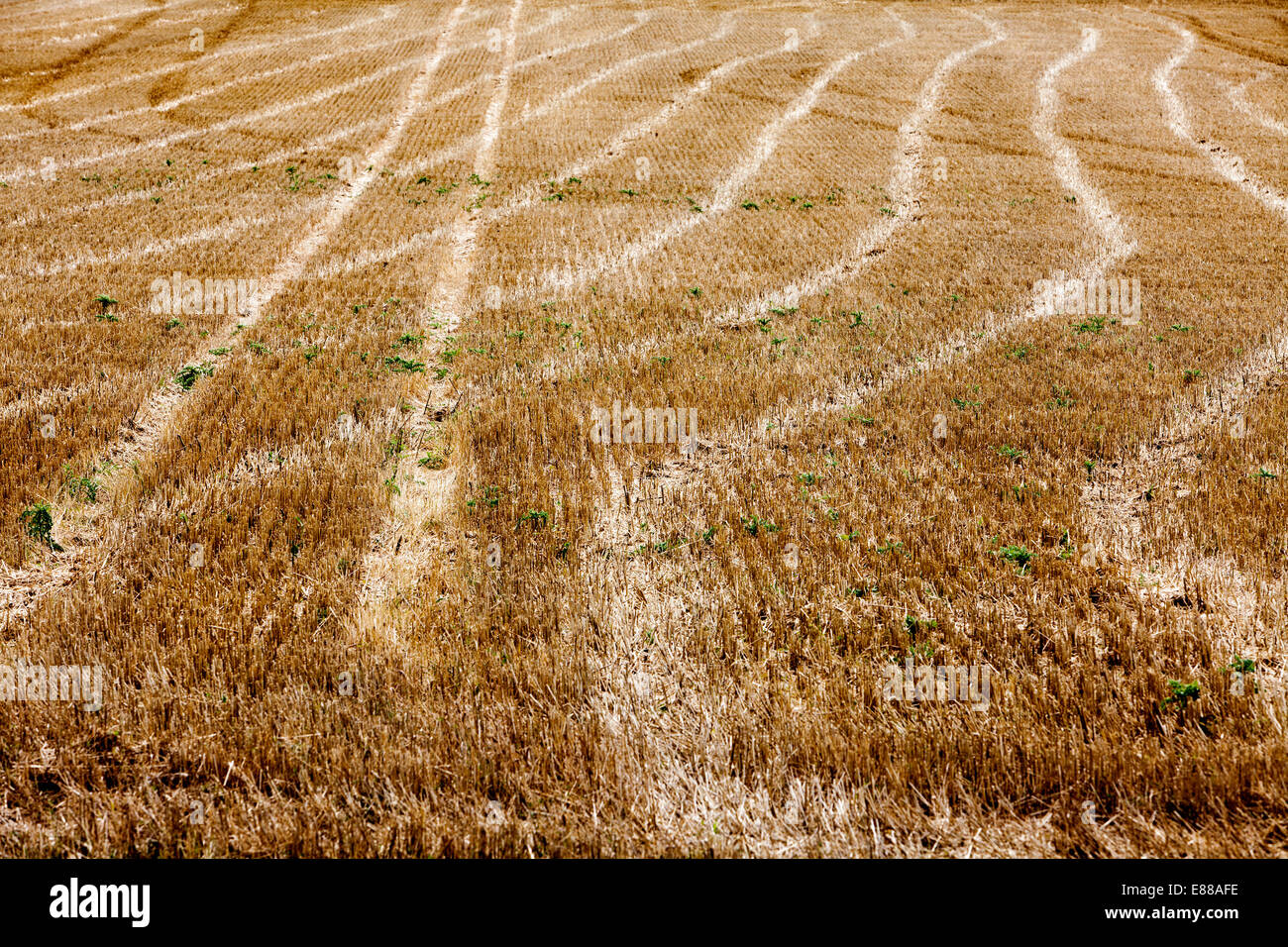 Stubble field with tracks of a tractor near Warburg, Warburger Boerde Plain, North Rhine-Westphalia, Germany, Europe Stock Photo