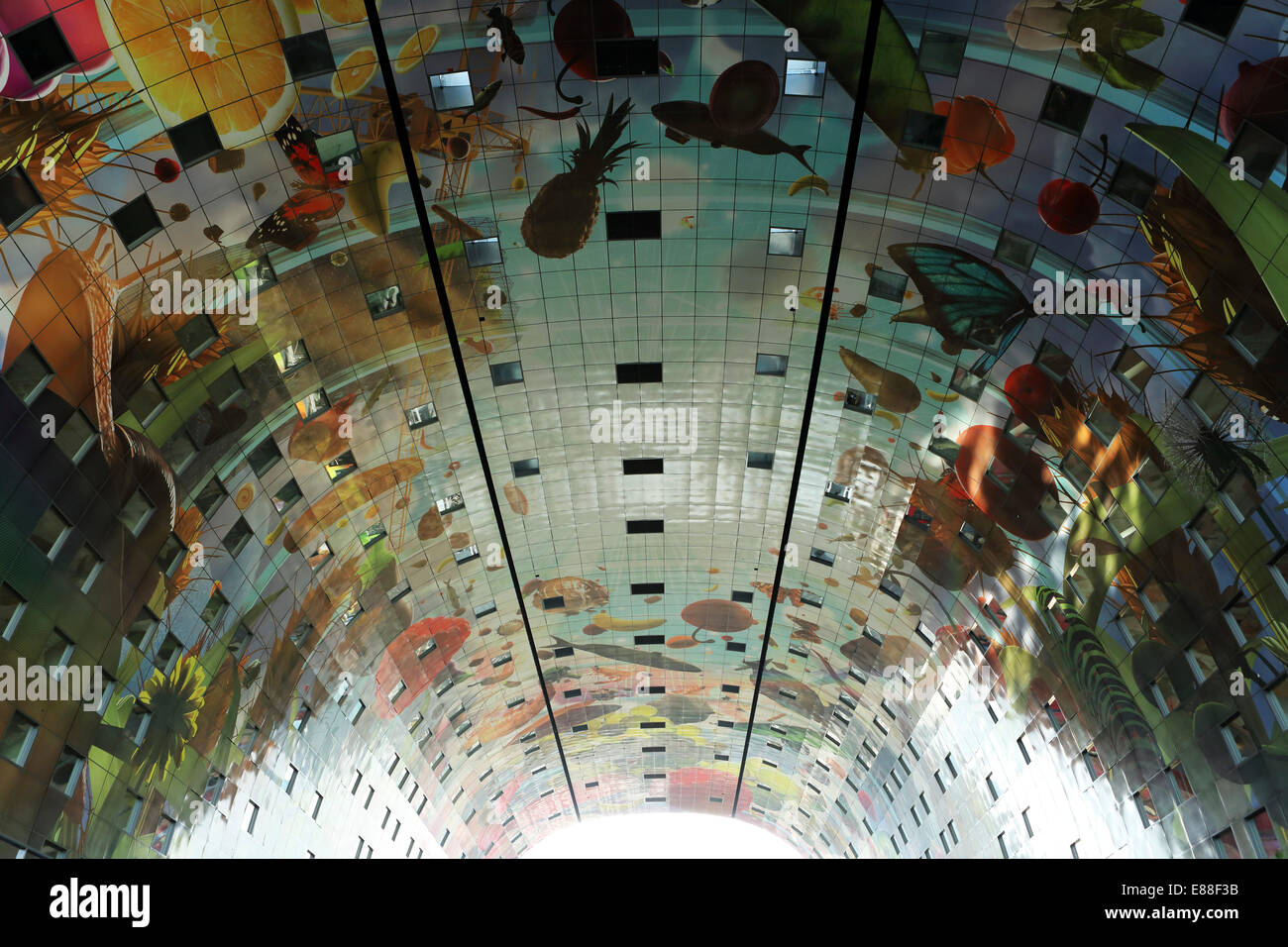 Rotterdam, Netherlands. 30th Sept, 2014. The ceiling of the Markthal Rotterdam in Rotterdam, the Netherlands. The covered market was designed by architects MVRDV and the interior bears the biggest artwork in the Netherlands, 'The Horn of Plenty' by Arno Coenen and Iris Roskam. The market was officially opened by Queen Maxima on 1 October 2014. Credit:  Stuart Forster/Alamy Live News Stock Photo