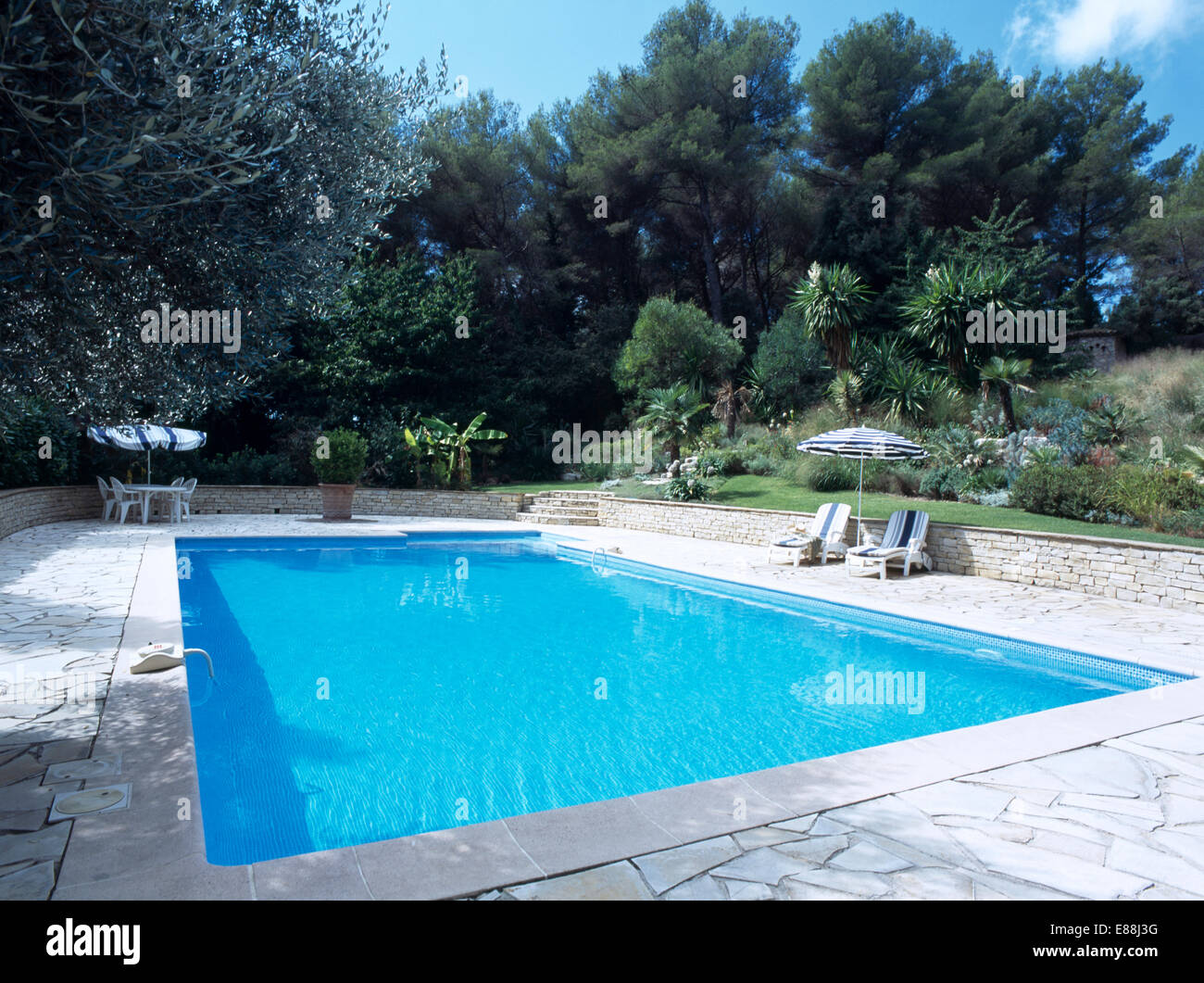Large rectangular swimmingpool in French country garden Stock Photo - Alamy