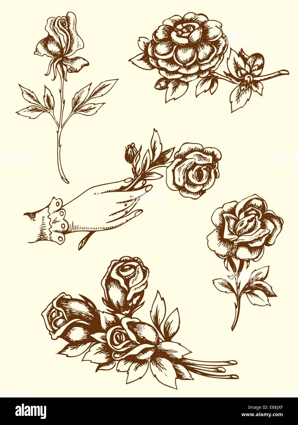 Set of vintage hand drawn flowers Stock Vector Image & Art - Alamy
