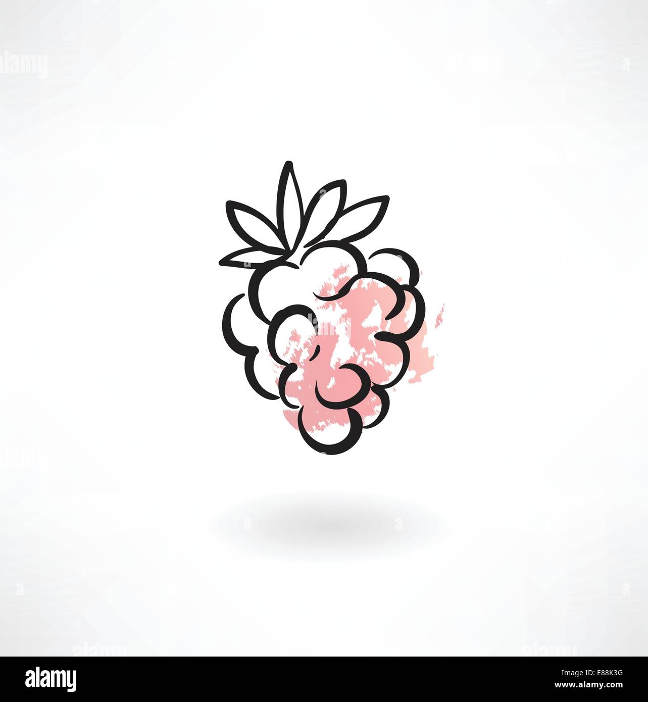 Ripe raspberries in white Stock Vector Images - Alamy