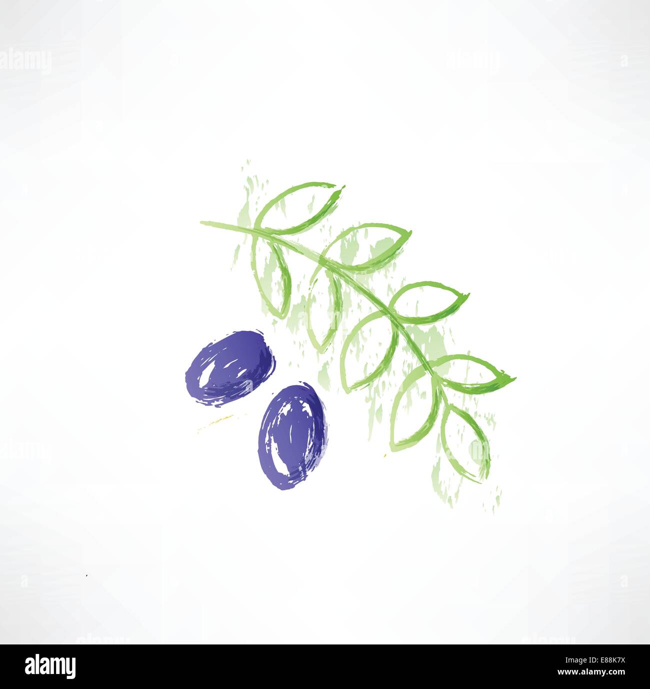 Italian olives branch green Stock Vector Images - Alamy