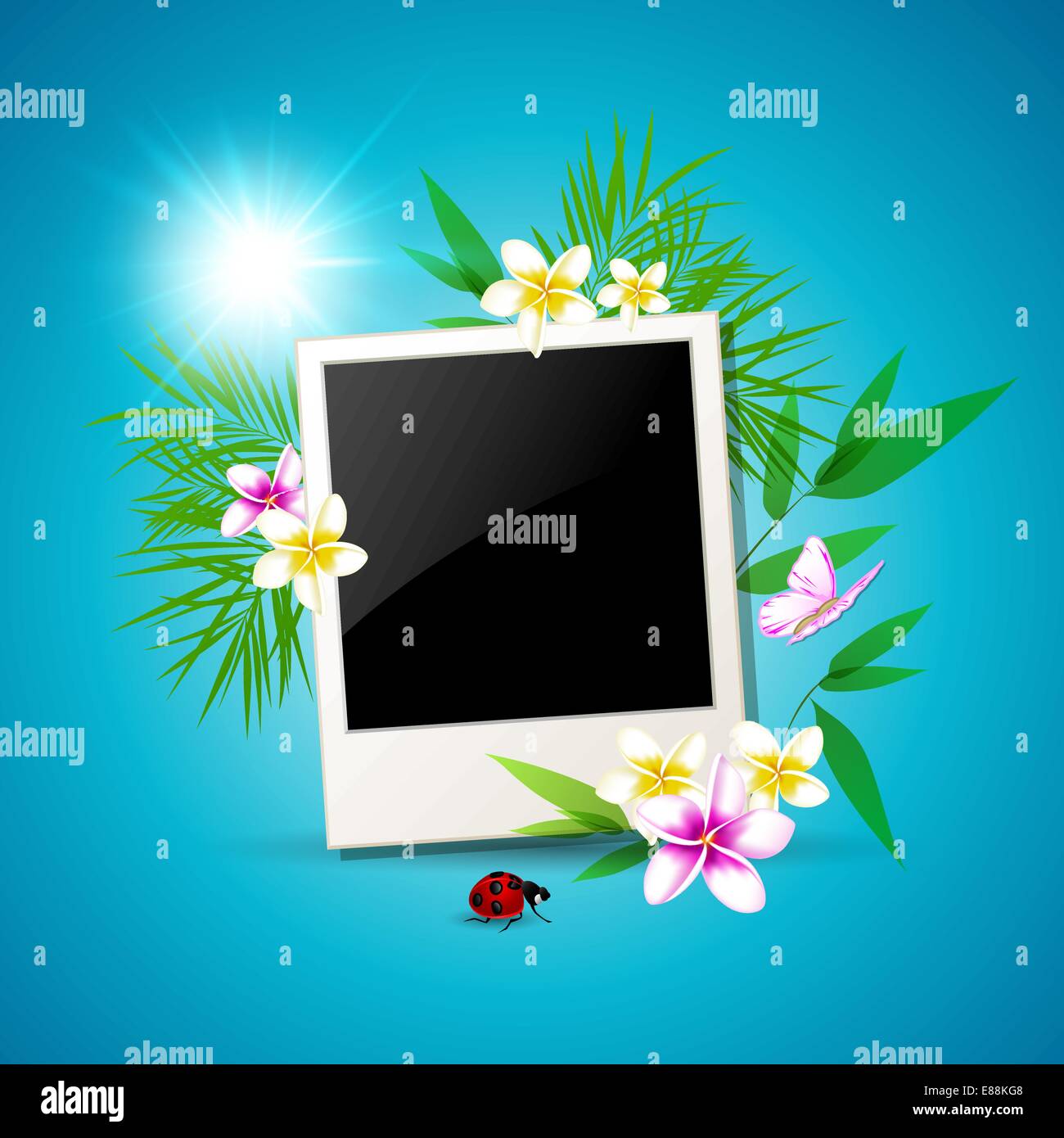 Summer vector background with photo and flowers Stock Vector Image ...