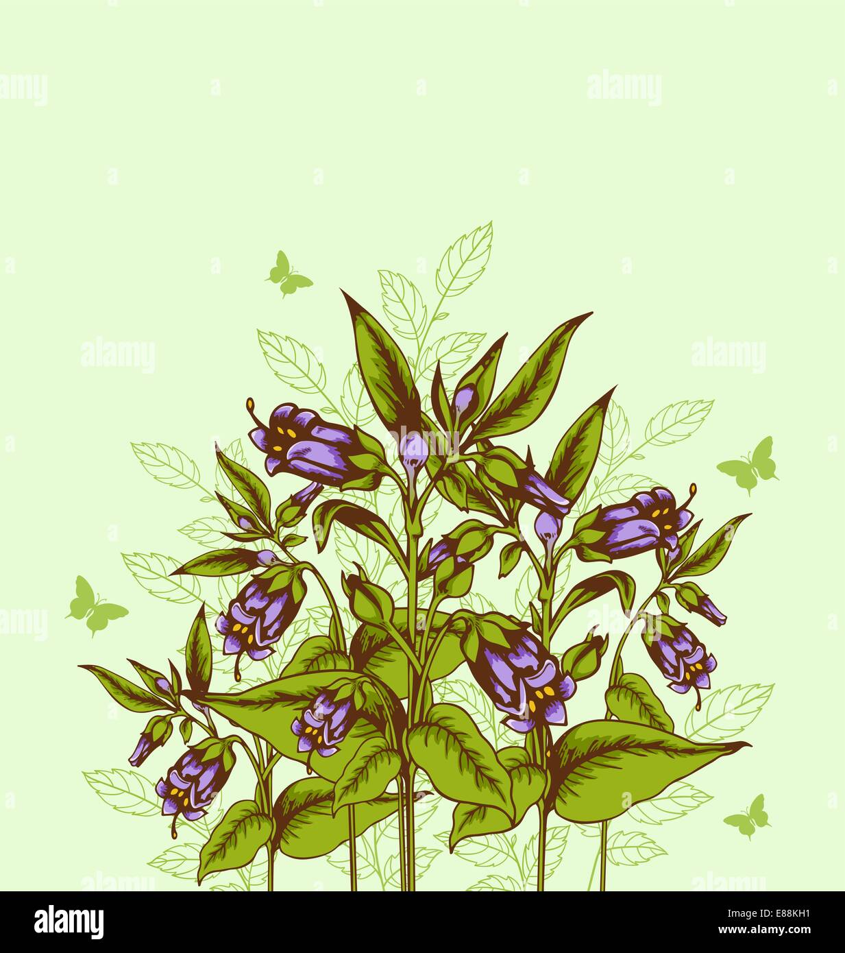 Green vector floral background with bellflower Stock Vector Image & Art ...