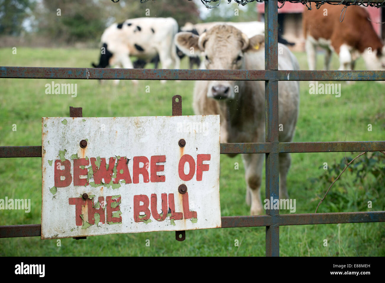 Mantenha Porta Fechada Bull Decalque Advertência Fazenda Animal TouroInterno/externo 