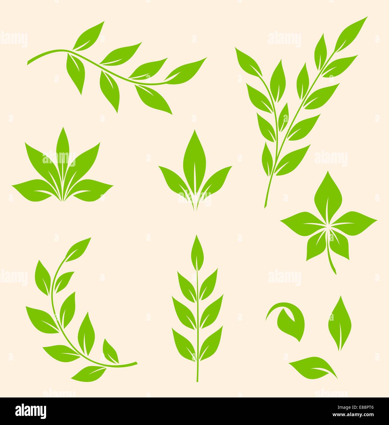 Vector Branches Set of vector green leaves and branches Stock Vector Image & Art - Alamy