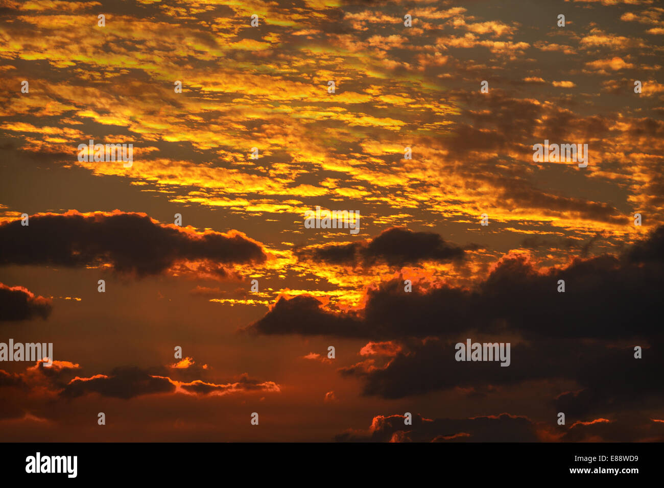Yellow sunset black clouds hi-res stock photography and images - Alamy