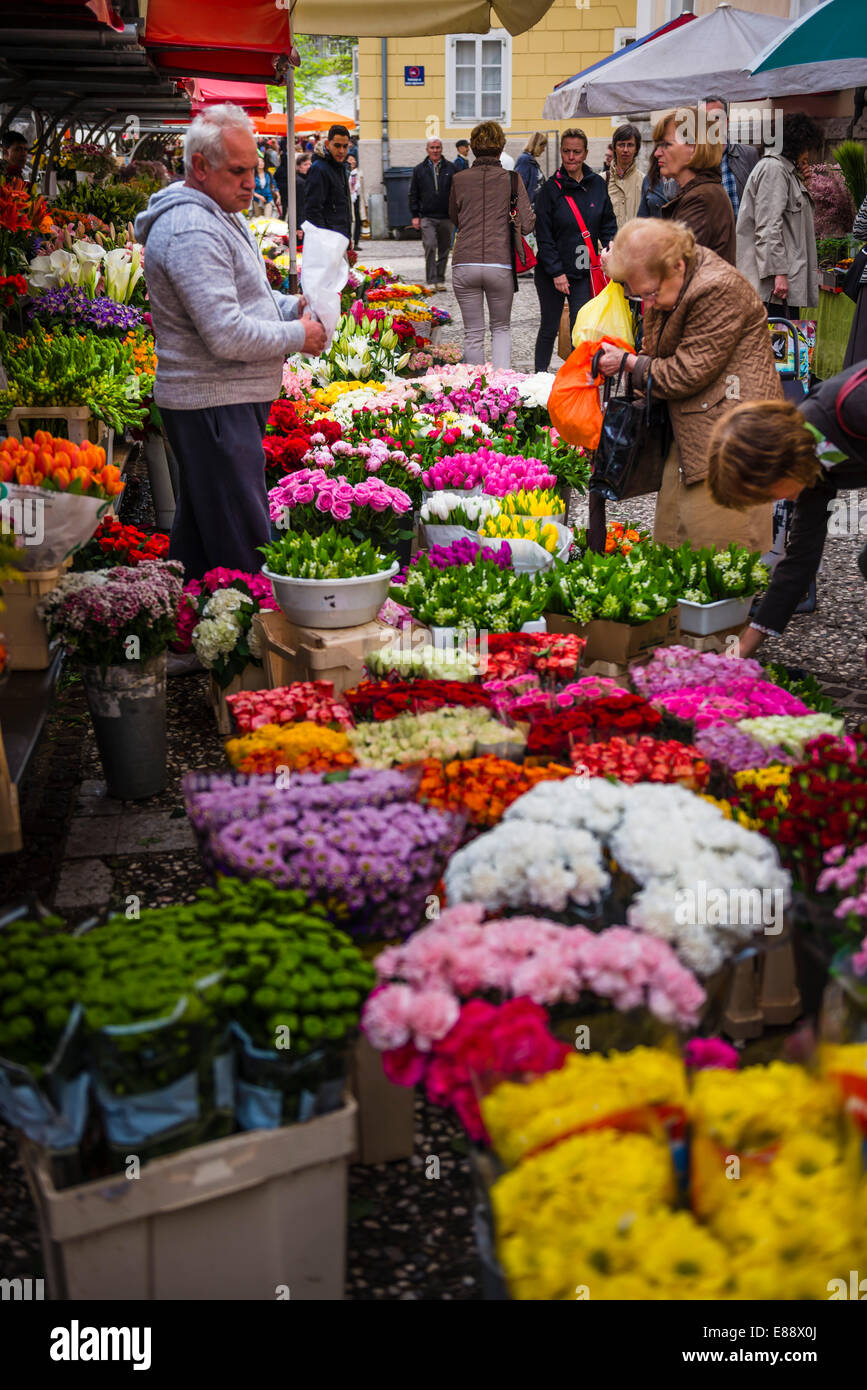 Flower stall owner in Ljubljana Central Market on a Saturday in Vodnikov Trg, Ljubljana, Slovenia, Europe Stock Photo