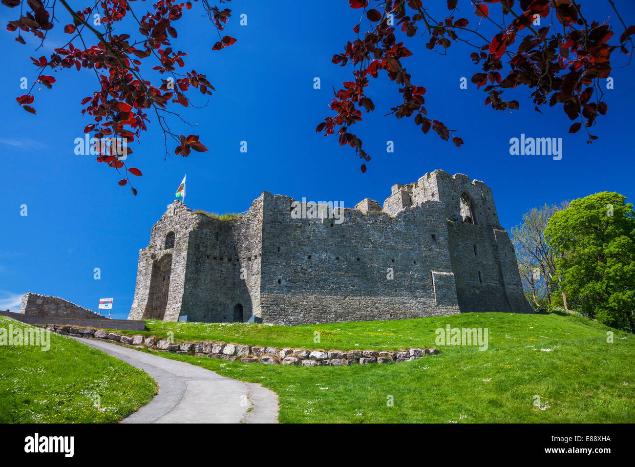 Oystermouth Castle, Mumbles, Gower, Wales, United Kingdom, Europe Stock Photo