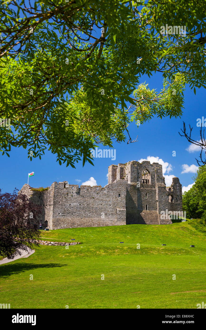 Oystermouth Castle, Mumbles, Gower, Wales, United Kingdom, Europe Stock Photo