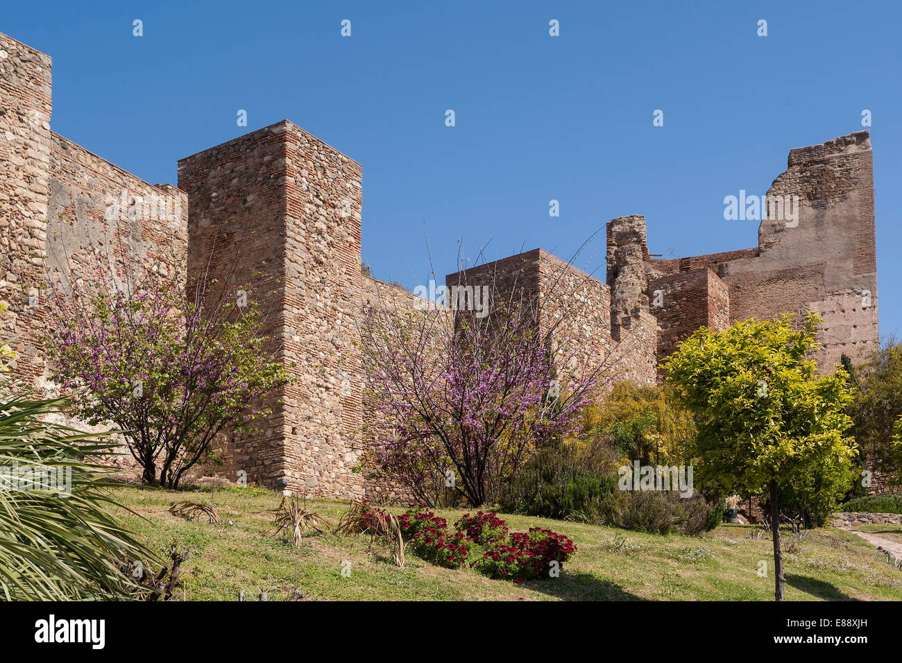Alcazaba walls, Malaga, Andalucia, Spain, Europe Stock Photo