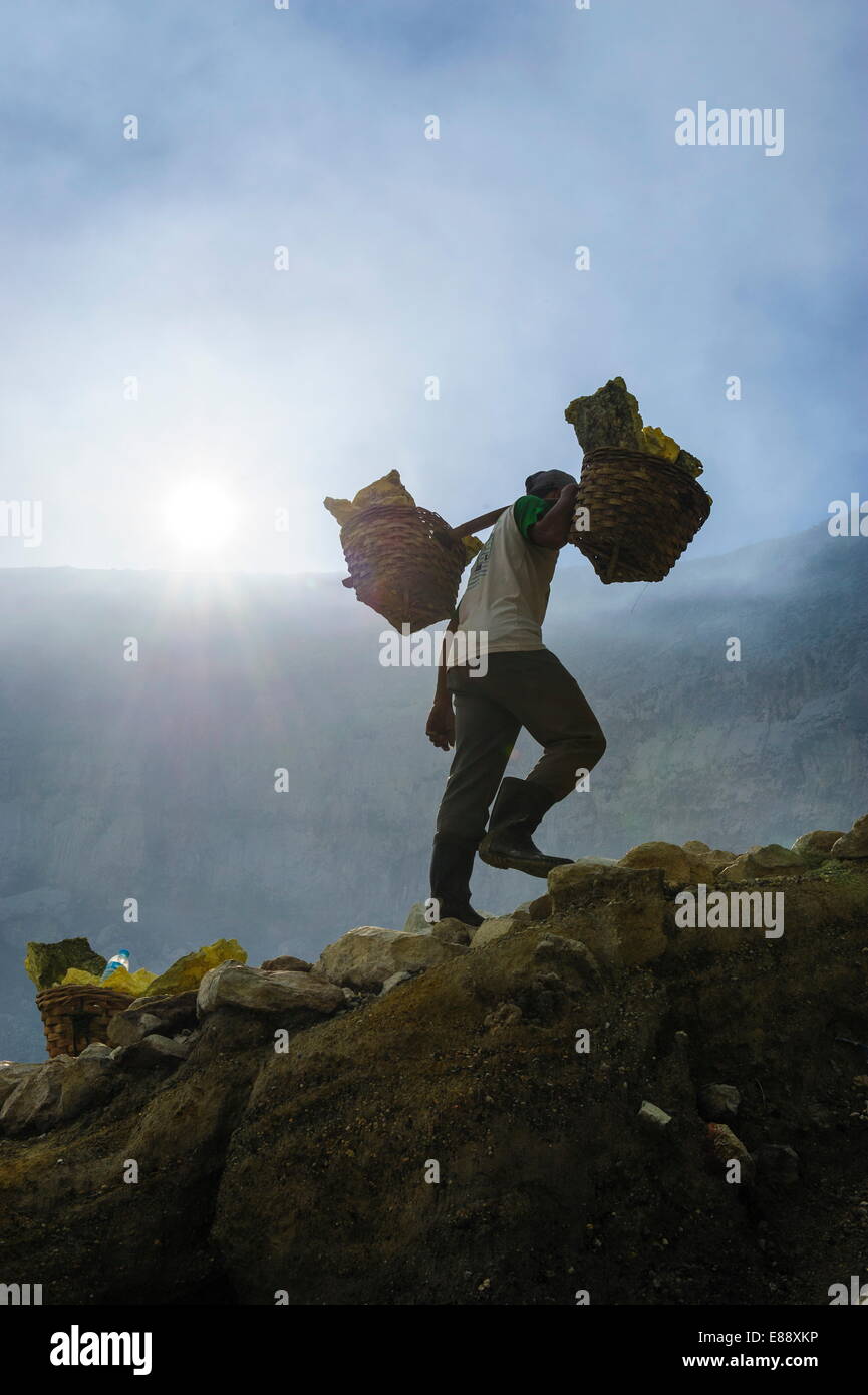 Backlit image of workers loaded with sulphur pieces cut out from a sulphur mine on Ijen crater lake, Java, Indonesia, Asia Stock Photo