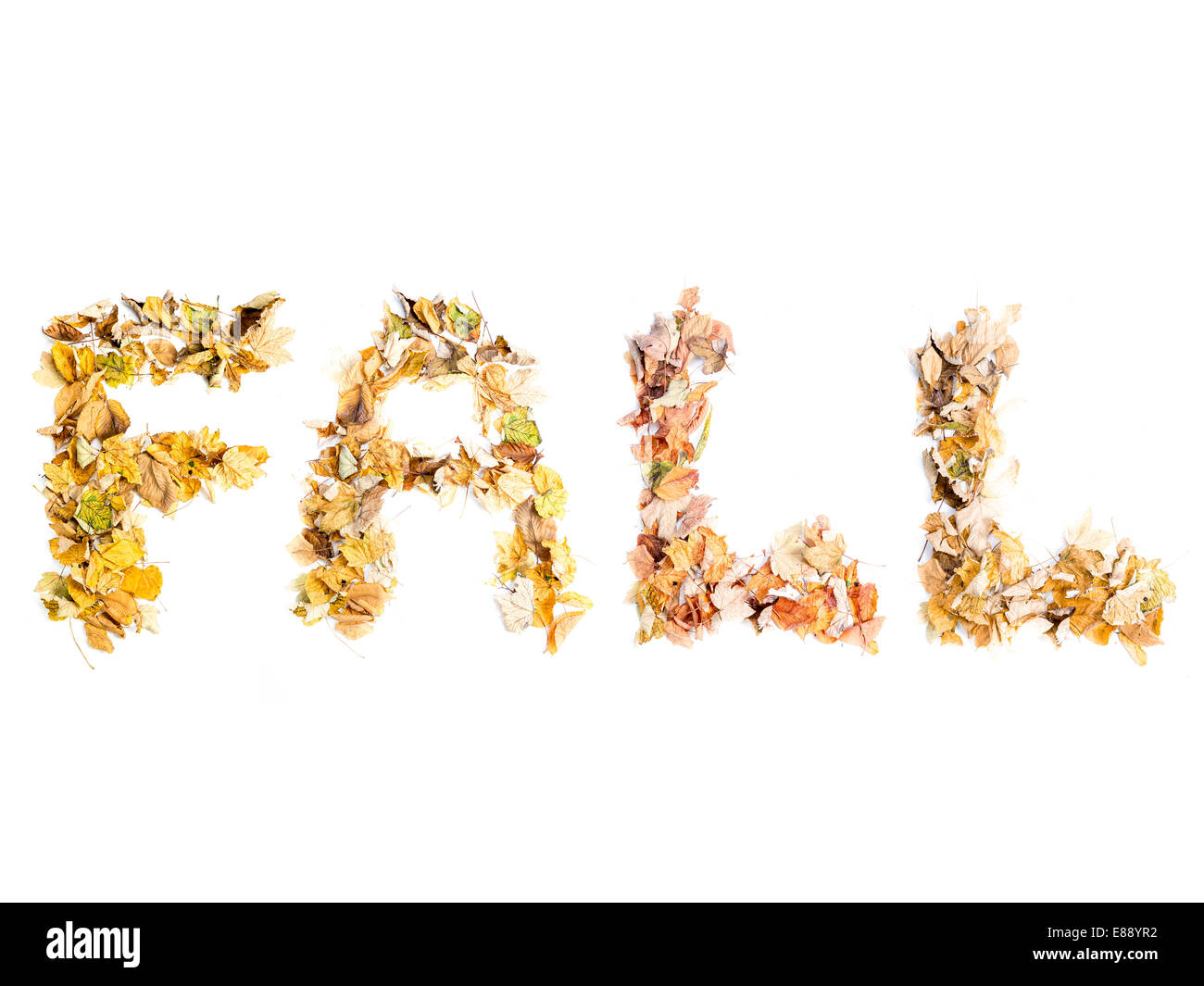 Fall word composed of various dead leaves over white background Stock Photo