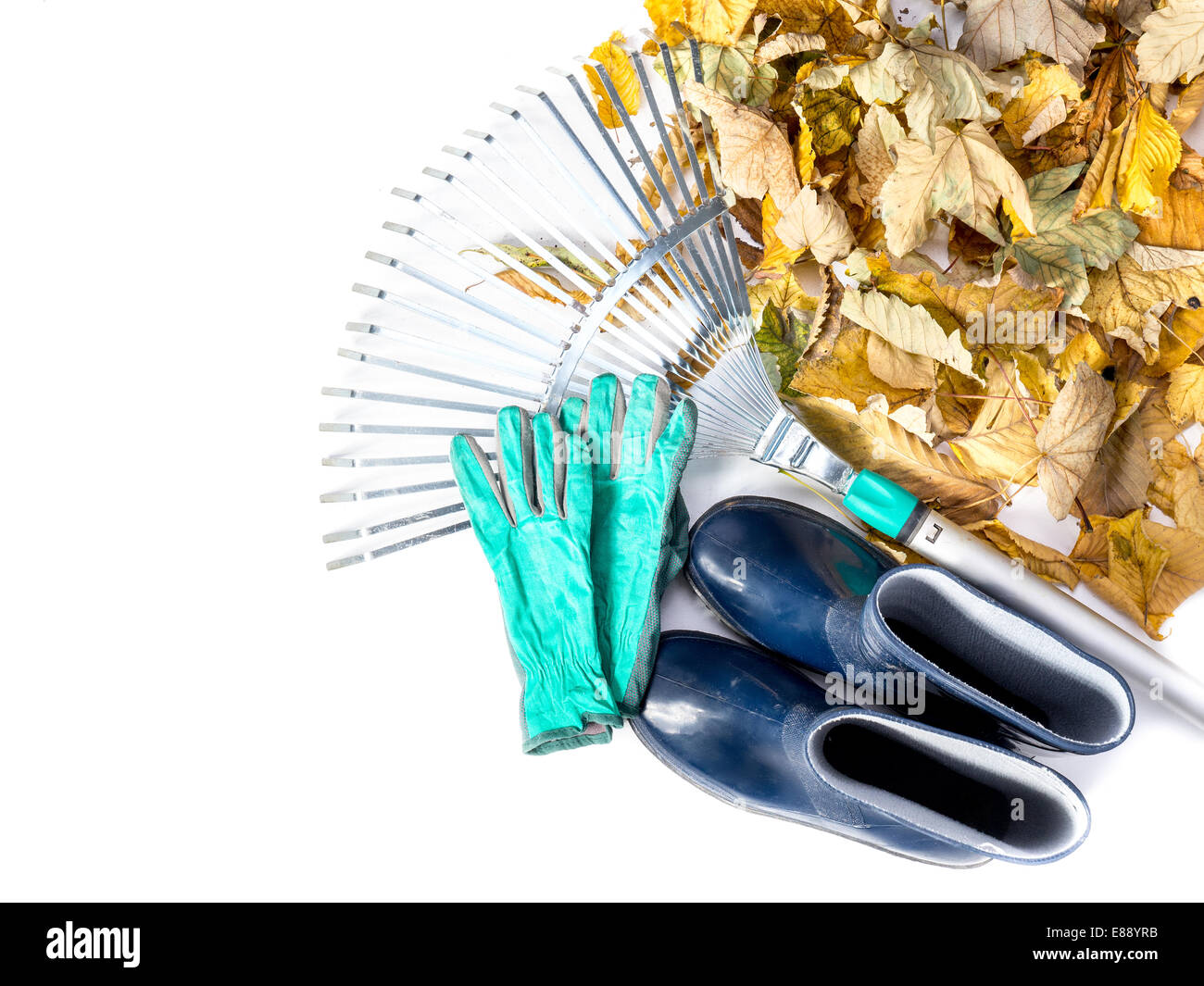 Pile of dead fall leaves, fan rake, pair of gumboots, and pair of gardening gloves all shot on white Stock Photo