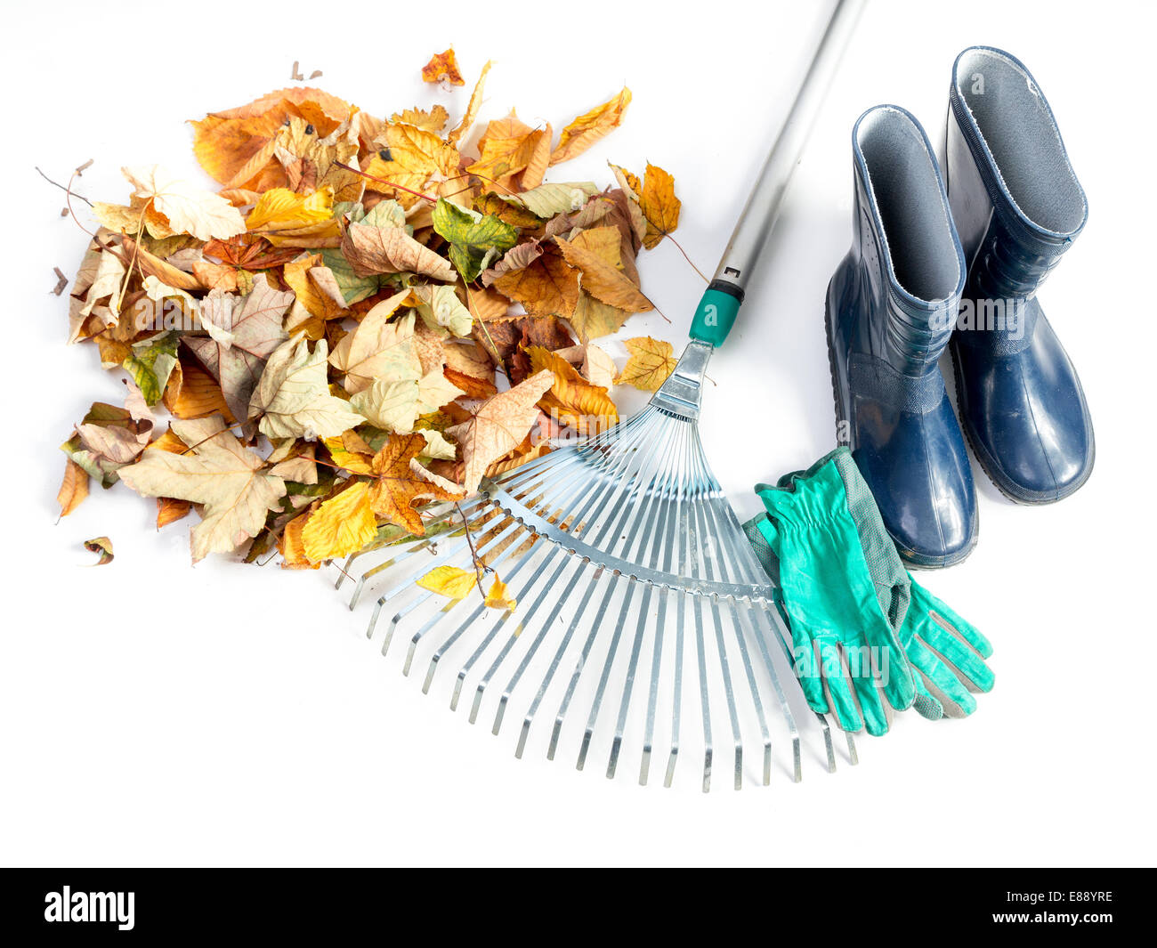 Pile of dead fall leaves, fan rake, pair of gumboots, and pair of gardening gloves all shot on white Stock Photo