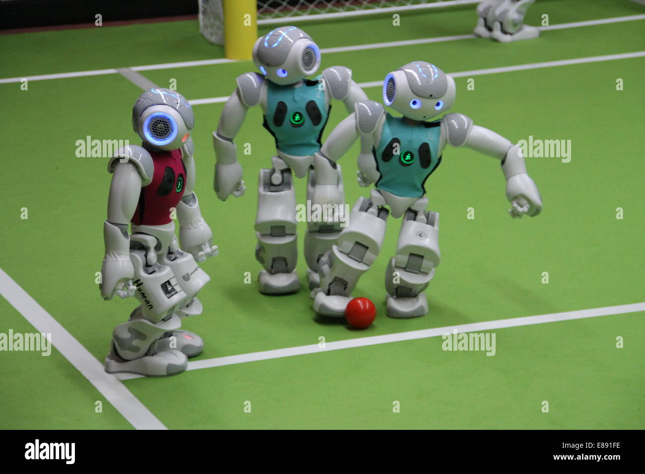 Turkish robots (R) next to a German robot at 'Robogol 2014' in Istanbul, Turkey, 27 September, 2014. The team 'B-Human' from Bremen plays against 'Cerberus' from Bogazici University in Istanbul at Robogol. The game was organized for the German-Turkish Year of Science by the German embassy and the Koc-Museum, where the games are taking place. Photo: Can Merey/dpa Stock Photo