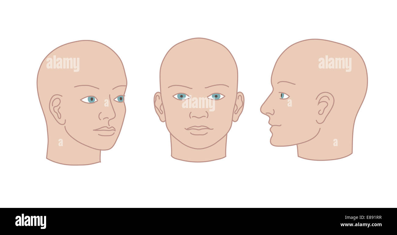 Human heads full-face, half-face and three-quarter. Vector silhouette illustration Stock Photo