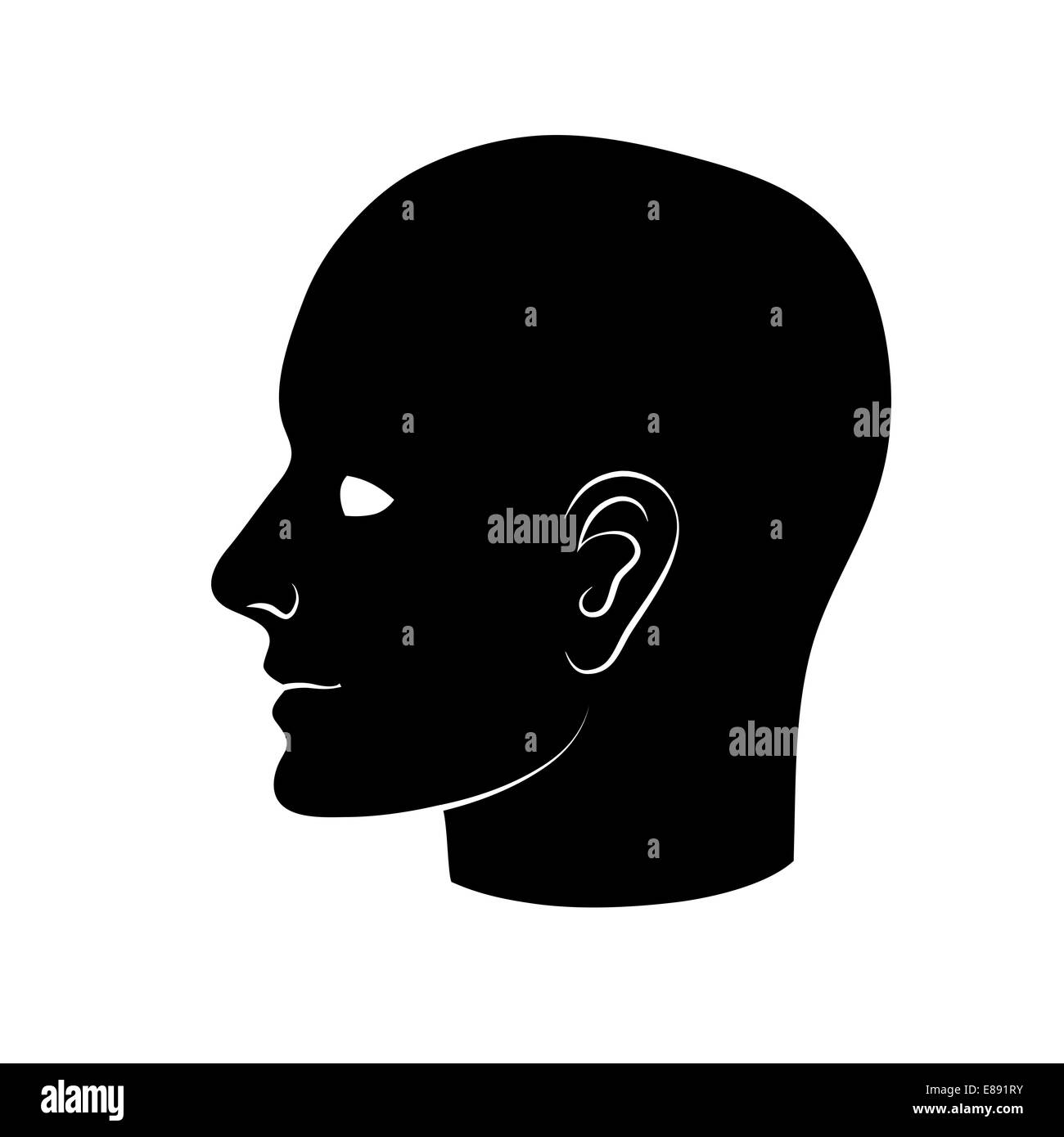 Human heads silhouettes. Group of people talking, working together. Concept illustration Stock Photo