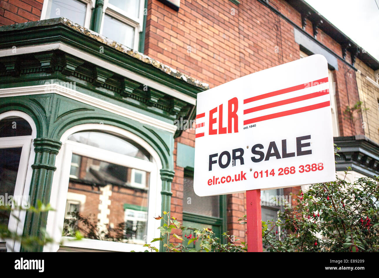For sale sign in Sheffield South Yorkshire Stock Photo Alamy