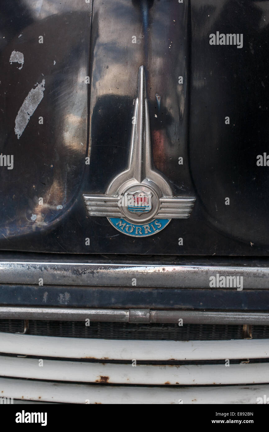 A Morris Minor classic car badge in Sheffield UK Stock Photo Alamy