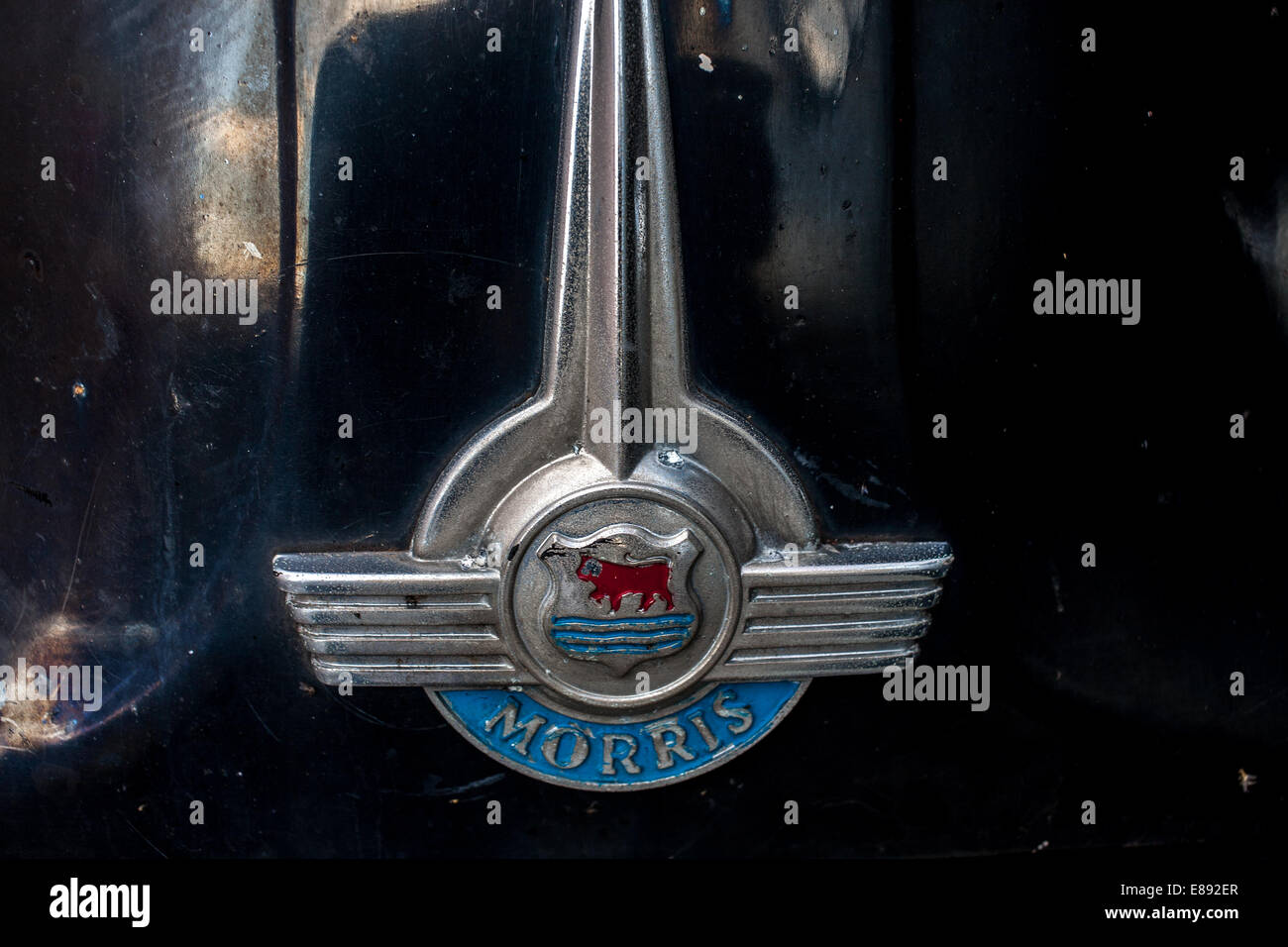 A Morris Minor classic car bonnet badge in Sheffield UK Stock Photo - Alamy