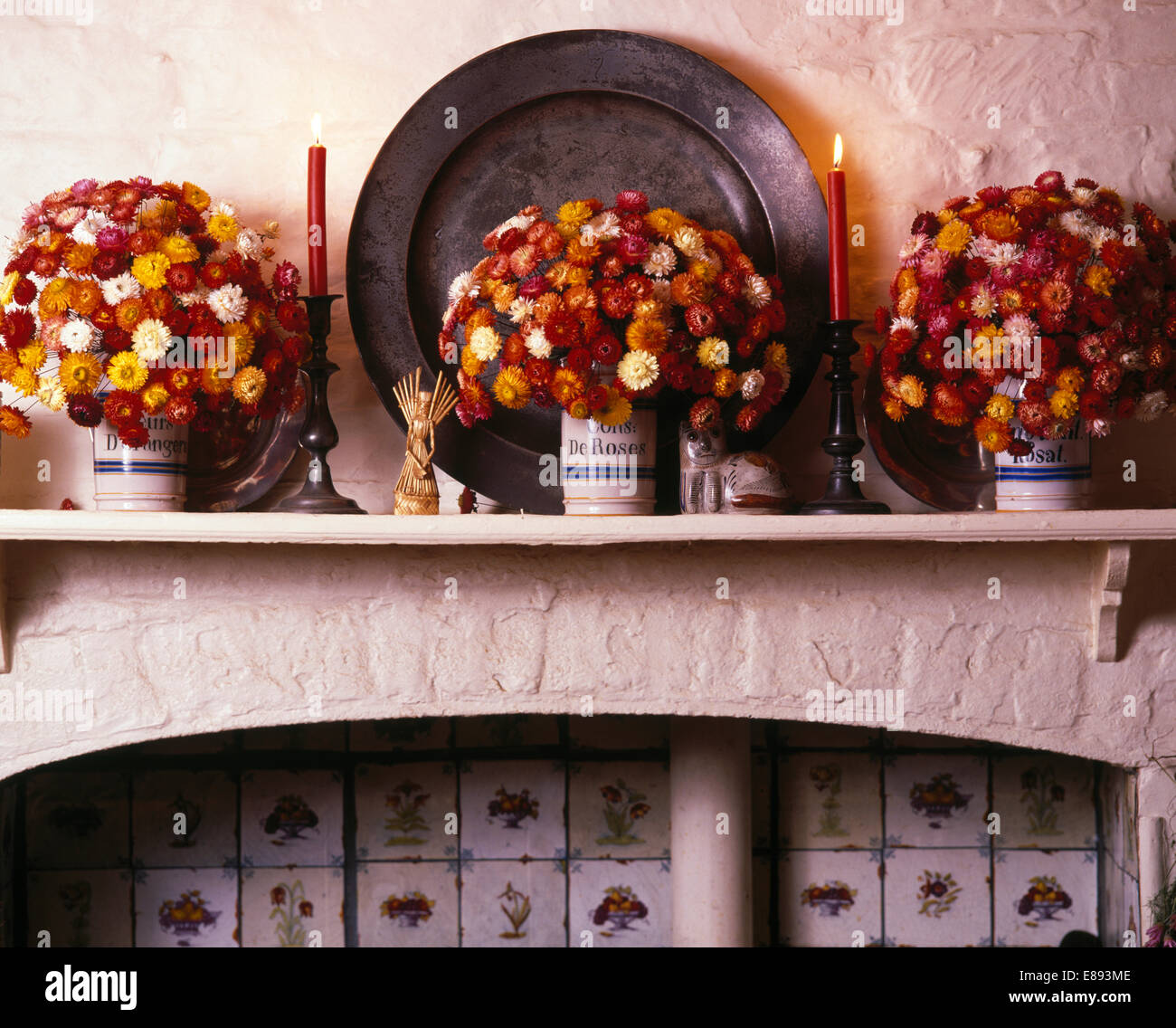 Close-up of pots of colourful helichrysums in pots on wooden shelf Stock Photo