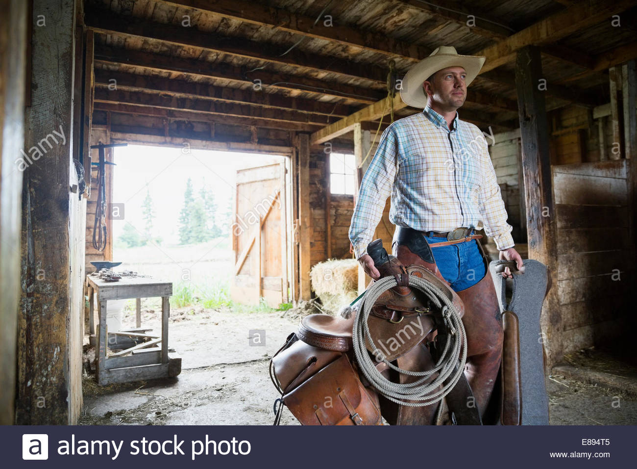 Rancher carrying saddle and tack in barn Stock Photo Alamy