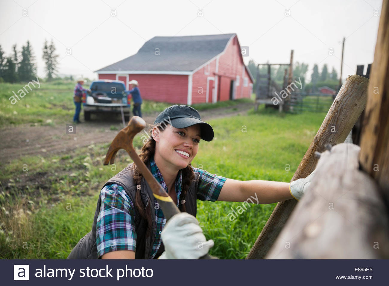 Smiling rancher hammering fence post in pasture Stock Photo Alamy