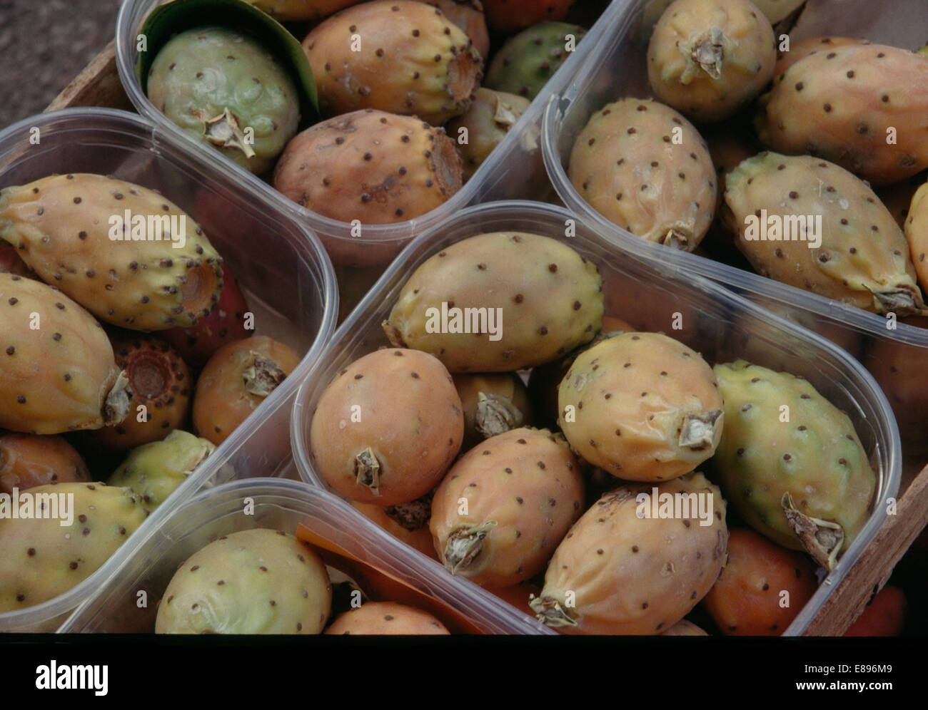 Close-up of paw paw fruit in sectioned container Stock Photo