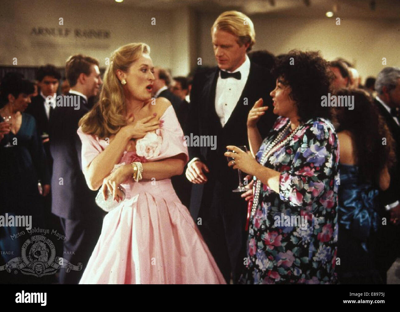 SHE-DEVIL 1989 Orion Pictures film from left Meryl Streep, Ed Begley Jnr, Roseanne Barr Stock Photo