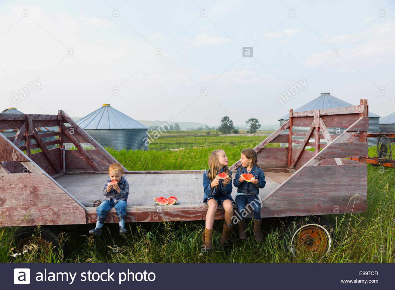 Girls and boy eating watermelon on farm Stock Photo