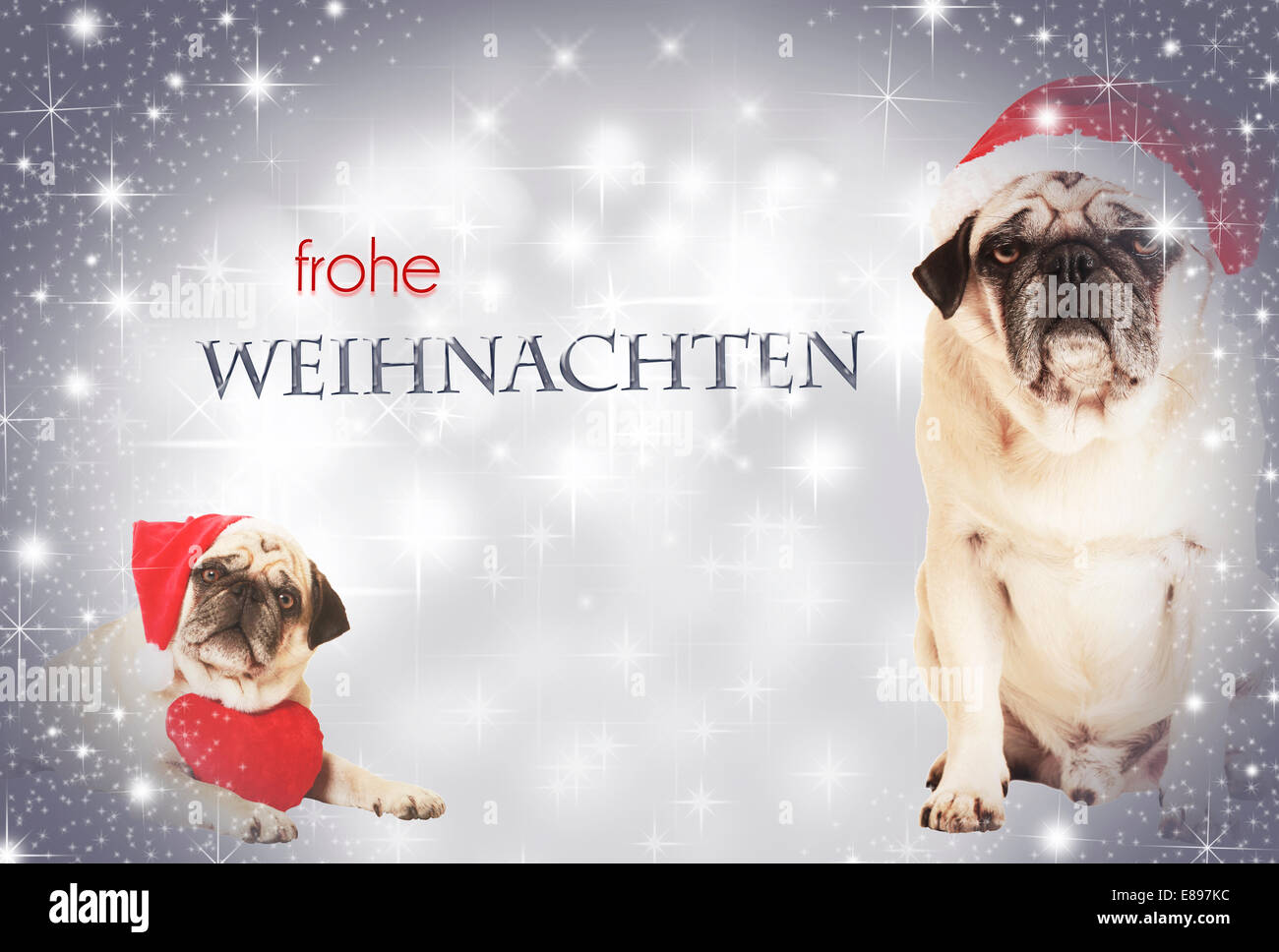 two dogs dressed as Santa Claus before glittering background, with text Frohe Weihnachten Stock Photo
