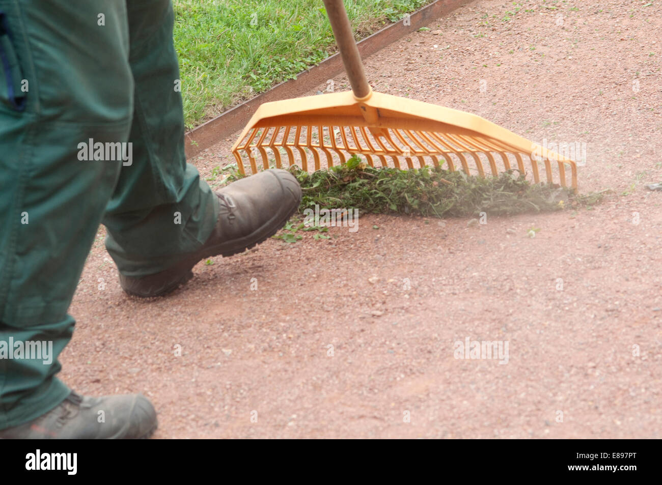 Man Raking Grass In the Garden Stock Photo