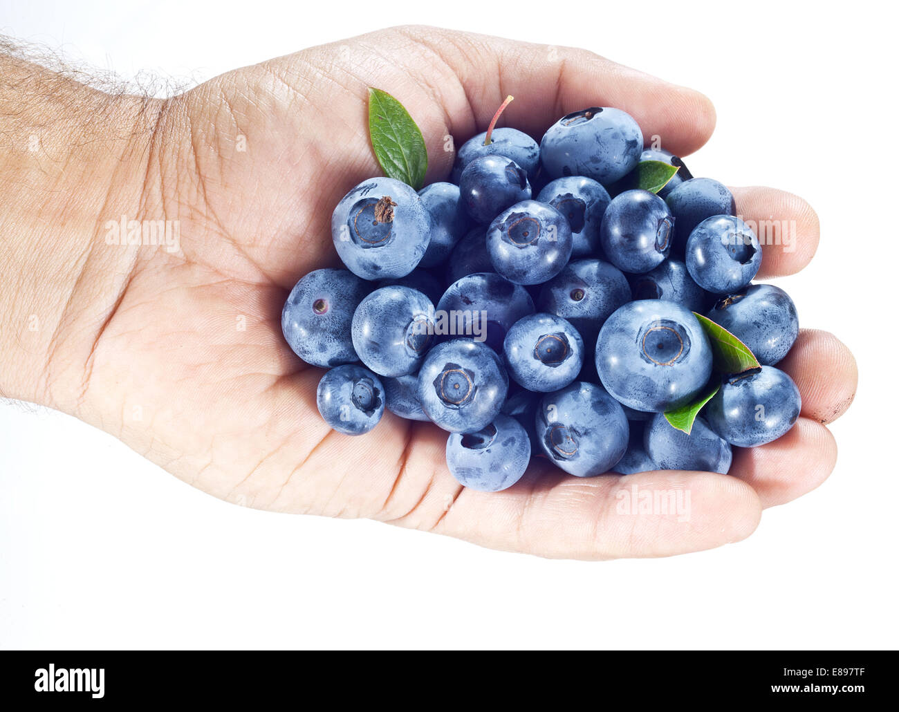 Blueberries in the man's hand over white. Stock Photo
