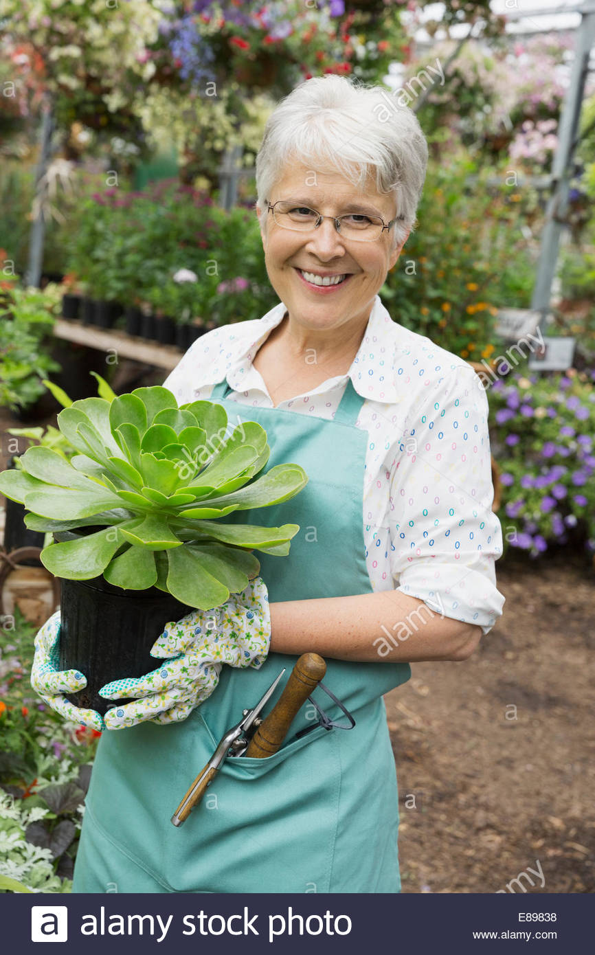 Portrait of plant nursery worker holding potted plant Stock Photo Alamy