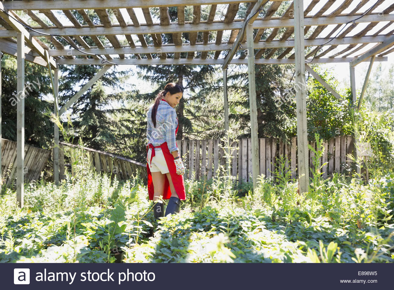 Worker examining plants in plant nursery Stock Photo