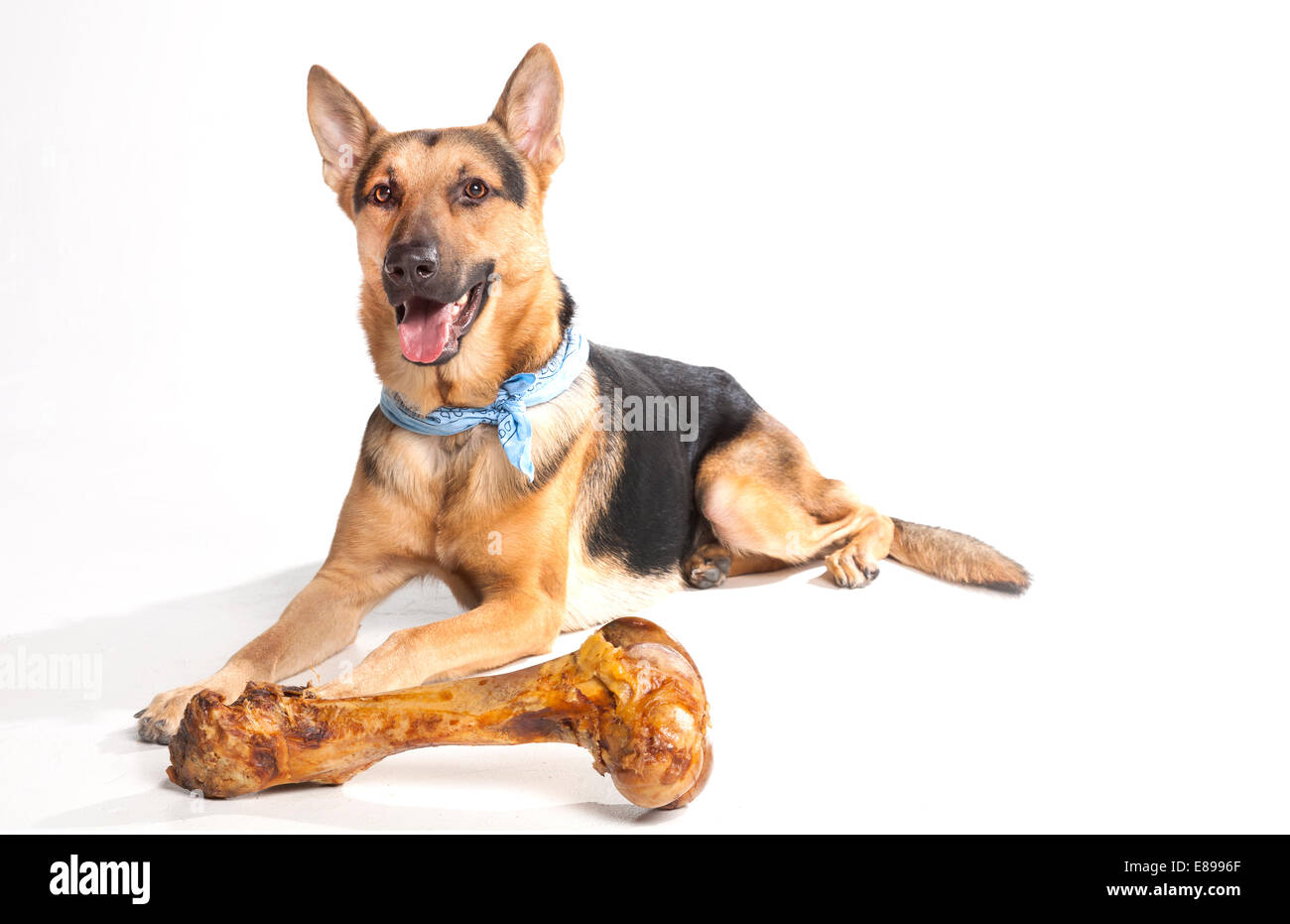 Are Bones Good For German Shepherds