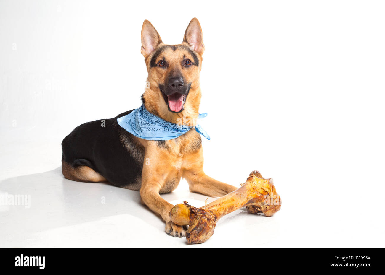 Are Bones Good For German Shepherds