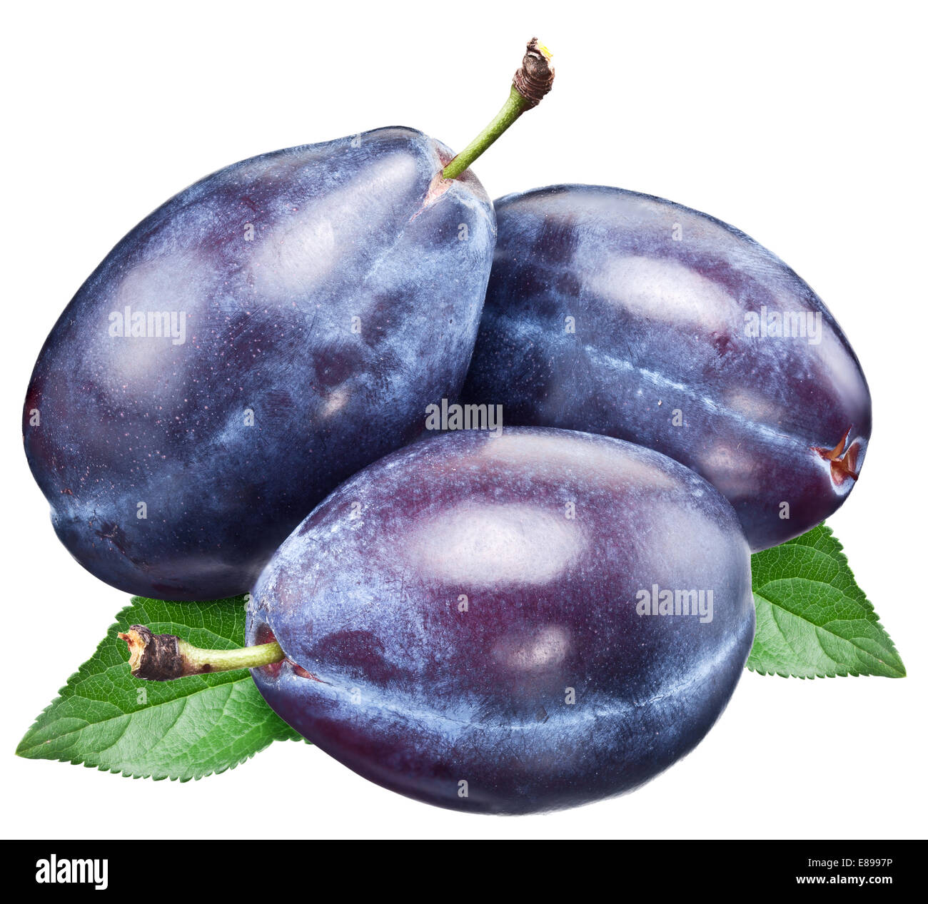 Three plums with leaf. File contains clipping paths. Stock Photo