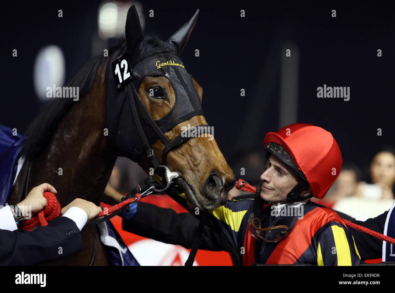 Dubai, United Arab Emirates, jockey Ryan Moore with the galloping racehorse Gentil Donna Stock Photo