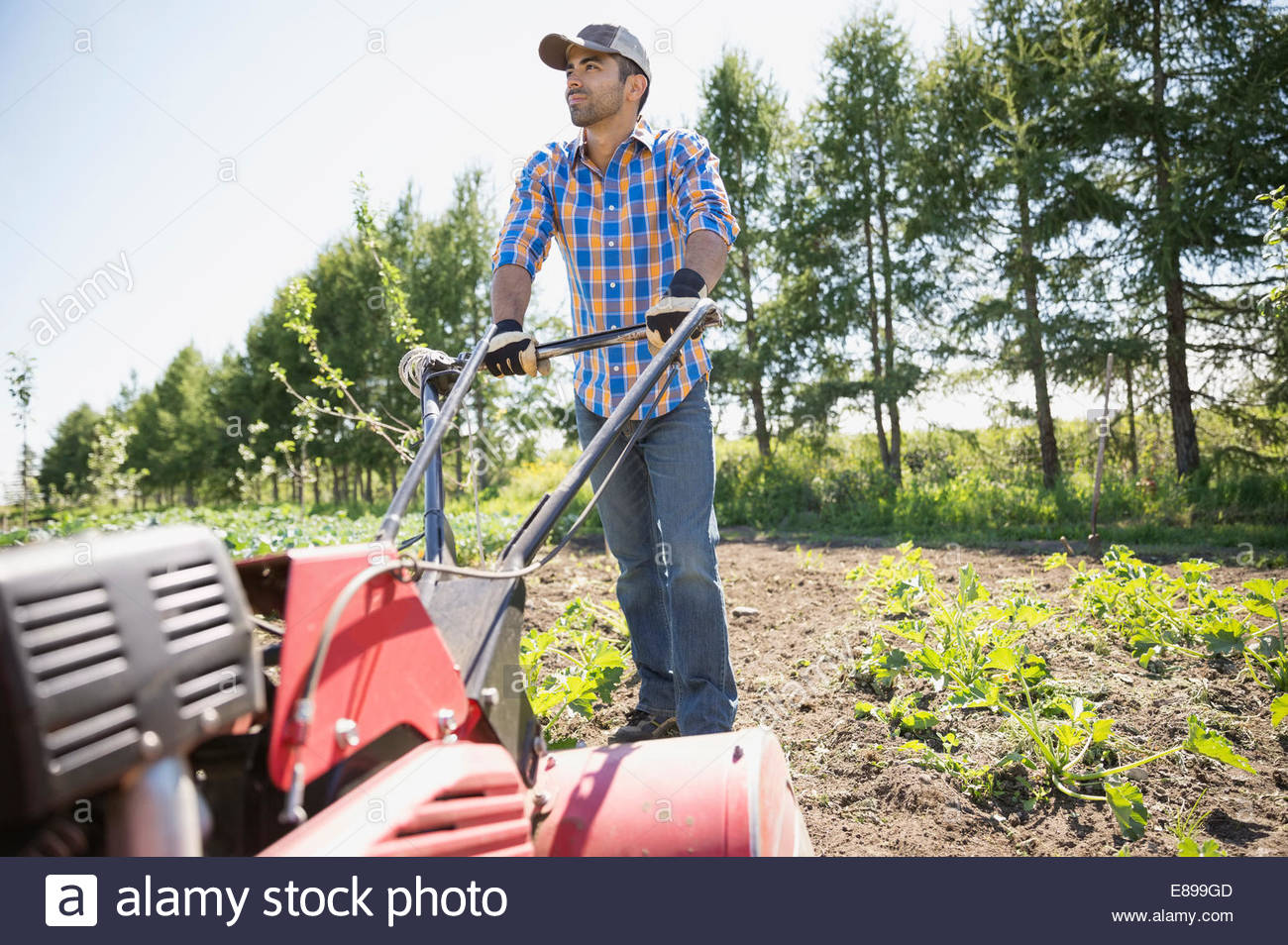 Man using rototiller in community garden Stock Photo