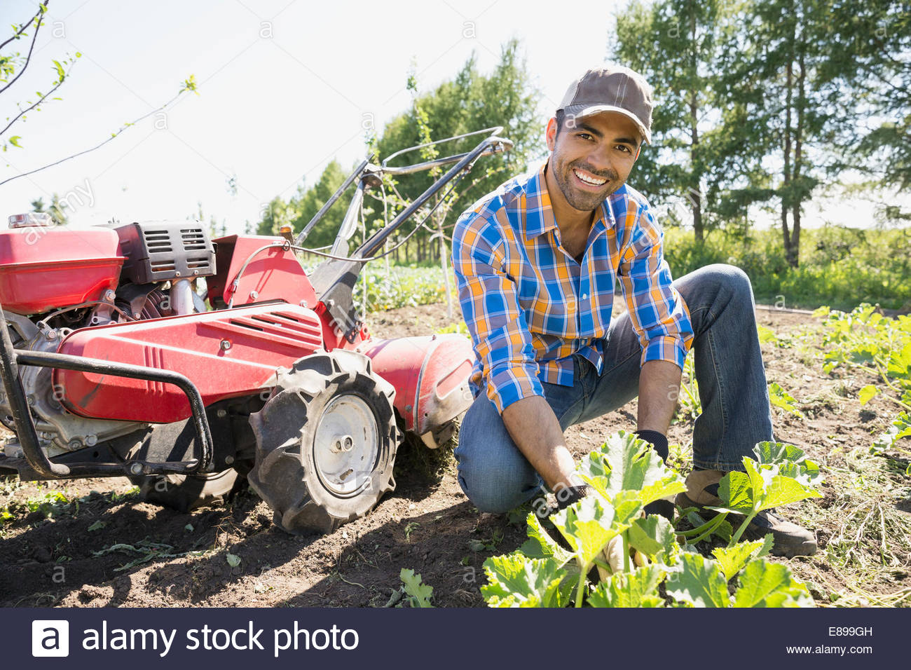 Smiling man with rototiller in community garden Stock Photo