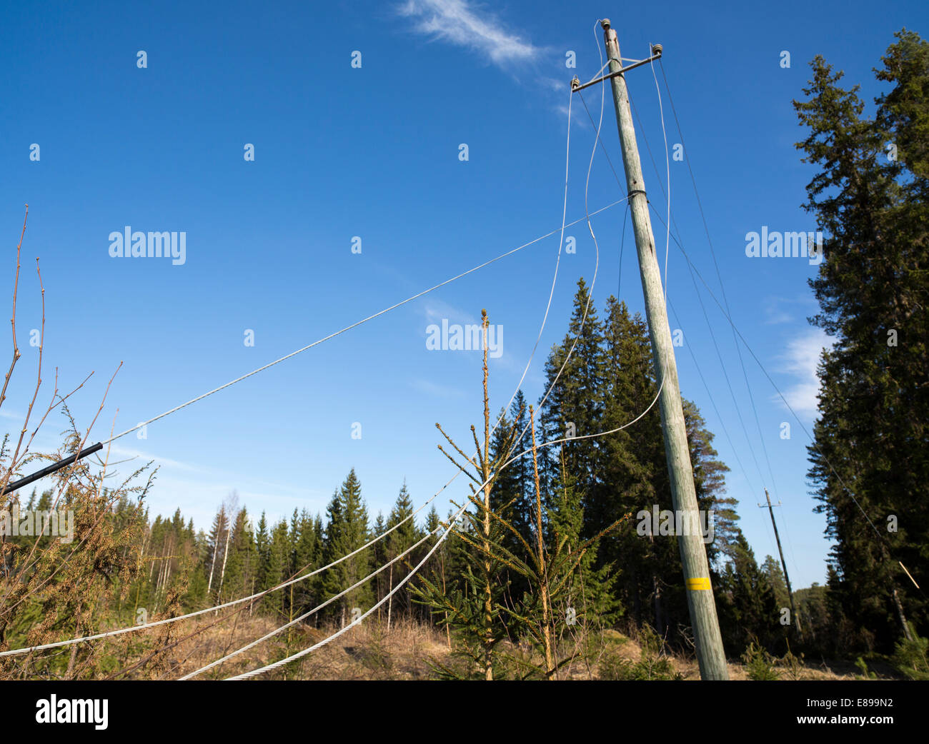 Faulty power lines at electricity grid after storm , Finland Stock Photo