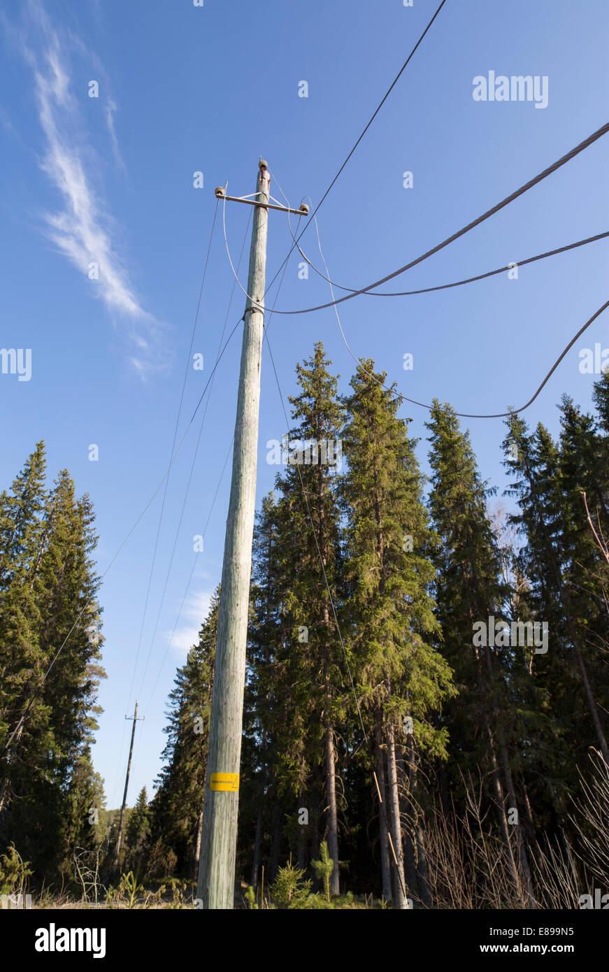 Faulty power lines at electricity grid after storm , Finland Stock Photo