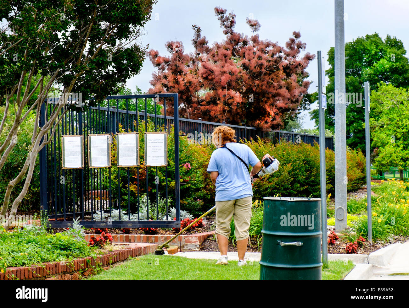A Caucasian woman worker in her 50s uses a weed trimmer in an Oklahoma City, Oklahoma public park. Stock Photo